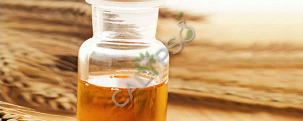 Buy 100% Pure Wheatgerm Carrier Essential Oil For Skin